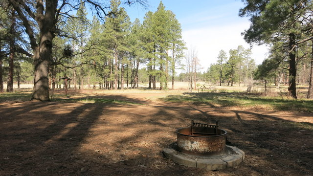 Escape to the Desert Oasis: Your Guide to Los Burros Campground in Arizona