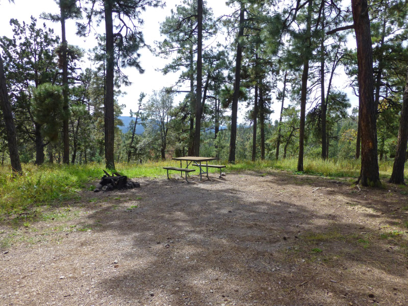 Escape To The Wild: Your Guide To Arizona’s Stray Horse Campground