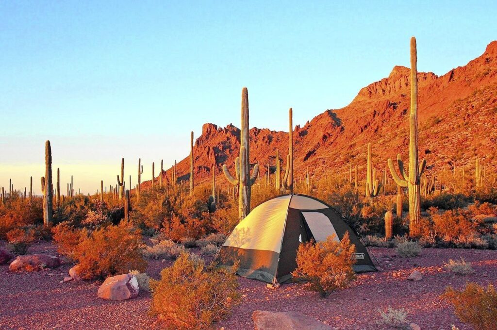 AZ Camp Guide | Alamo Canyon Campground